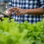 Quantum Technology in Agriculture