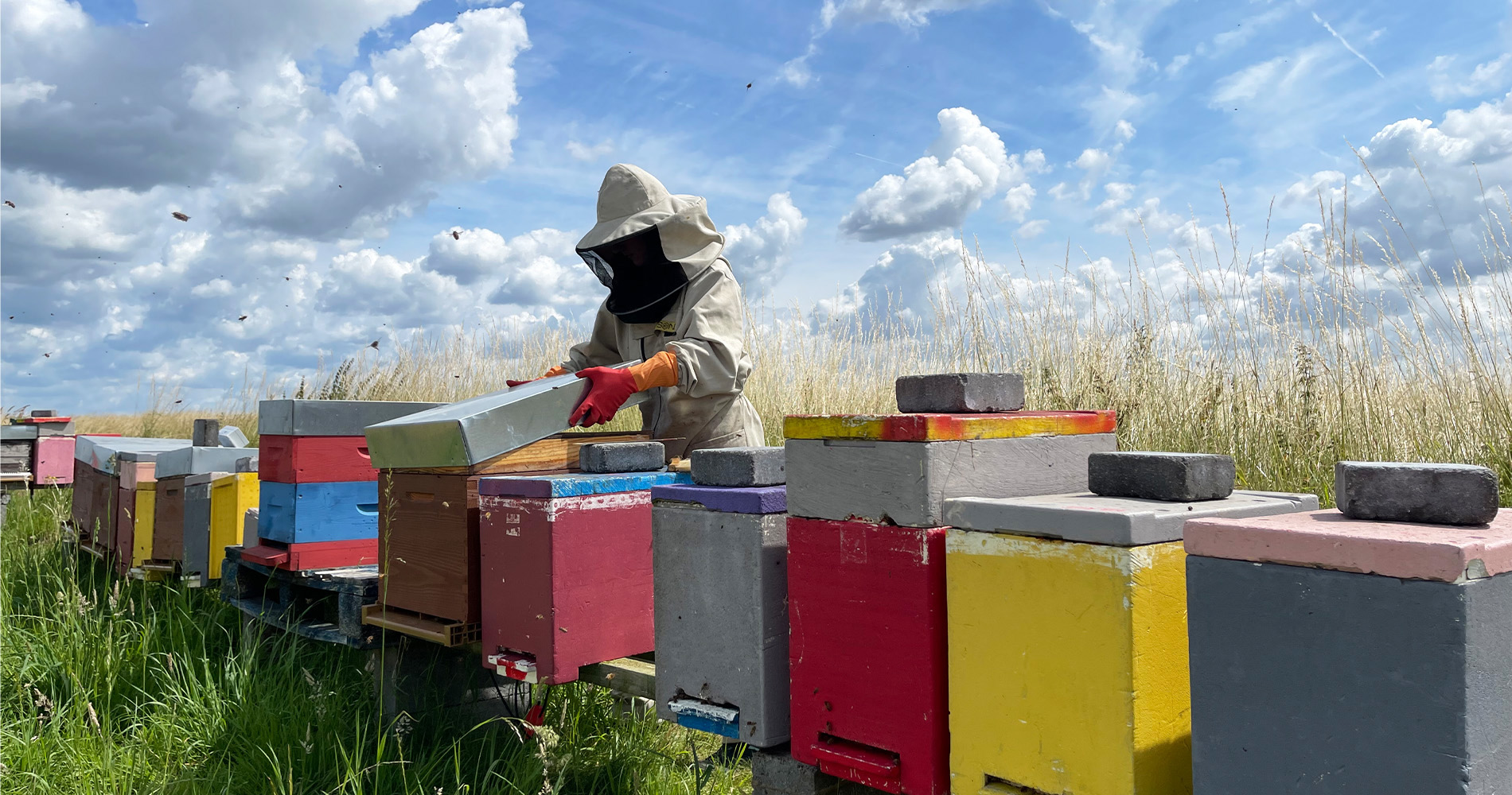 Advantages for Commercial Beekeepers