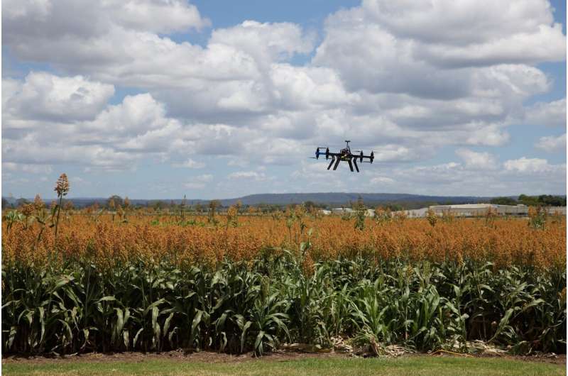 Quantum Drones for Advanced Soil Analysis